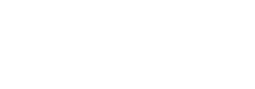 Partner 6